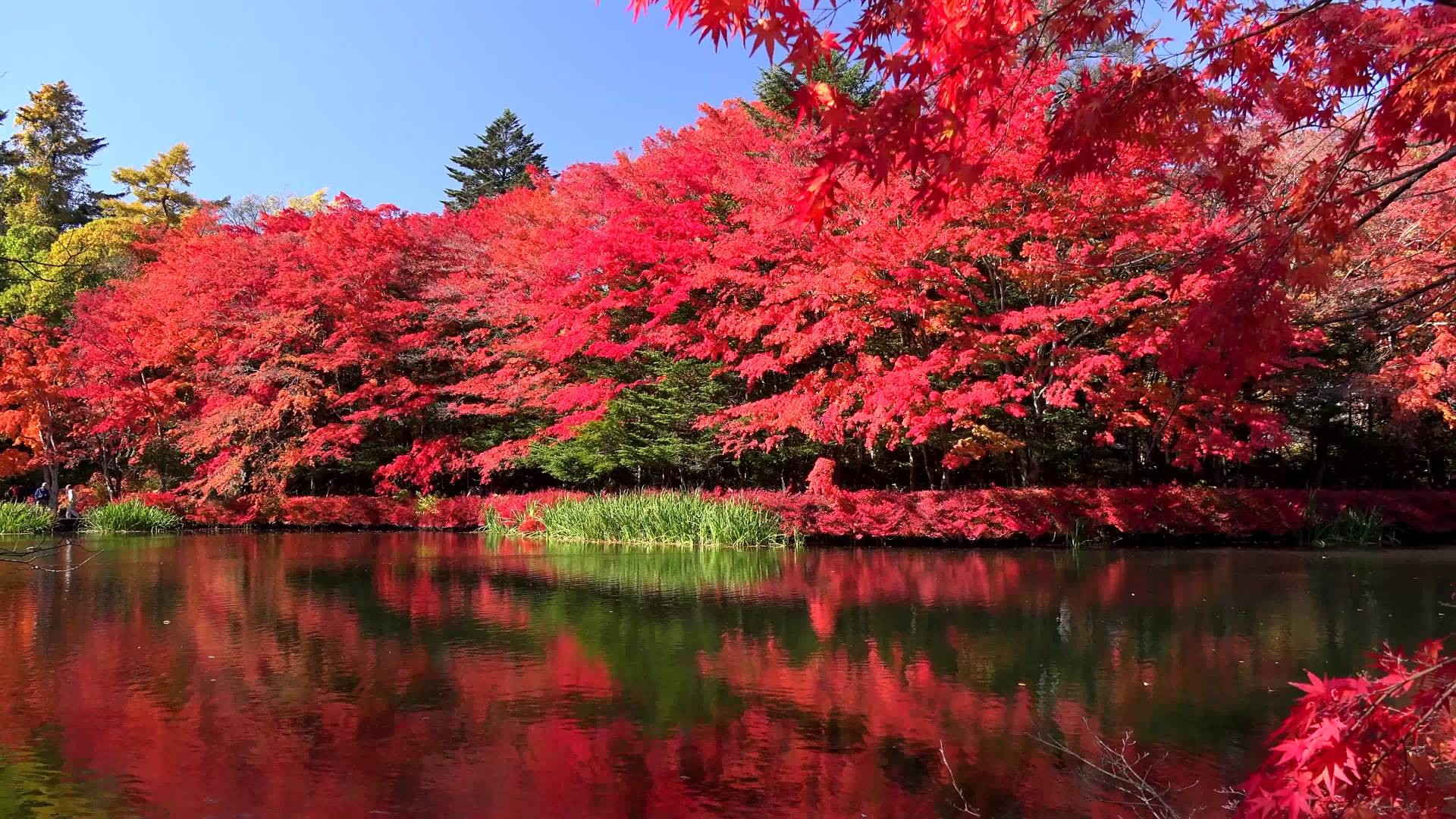 軽井沢の歴史的建造物と静寂な雲場池を訪ねよう！
