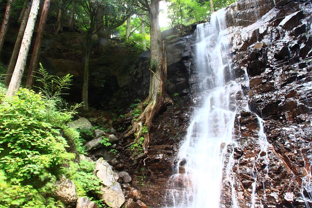 湧水が作り出す山の神秘！山梨県の滝5選