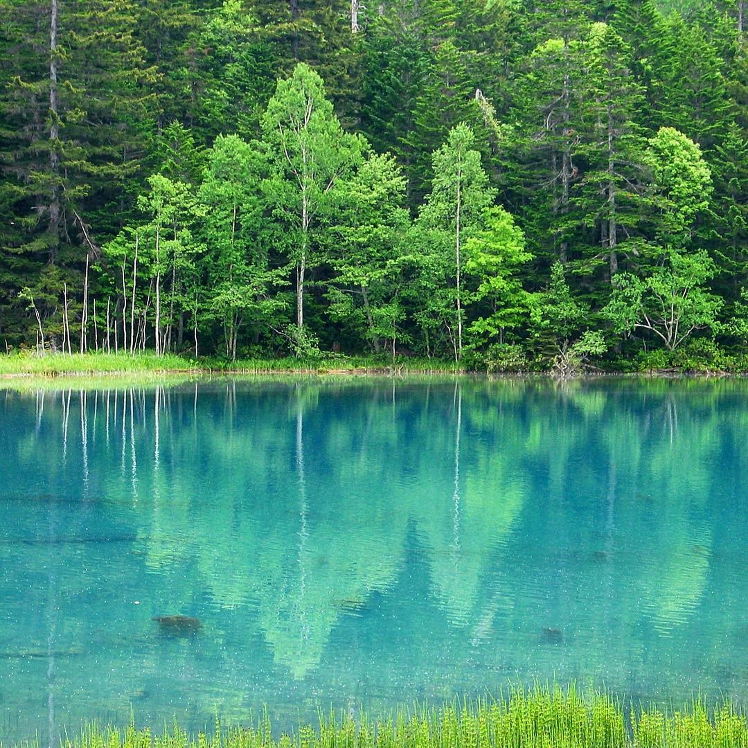 北海道・オンネトーが神秘の湖すぎる！見るたびに色が変化!?