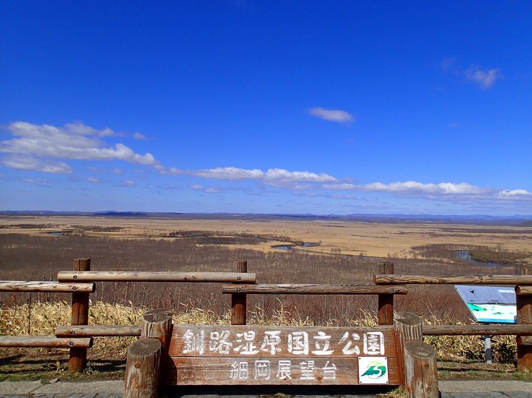 北海道・釧路湿原に観光へ！～原始的な自然の残る日本一の大湿原～