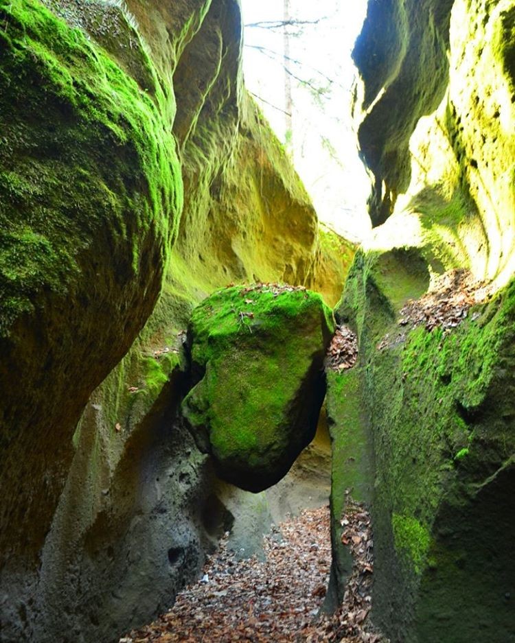北海道・苔の洞門に観光へ！時の流れと自然が造った芸術品