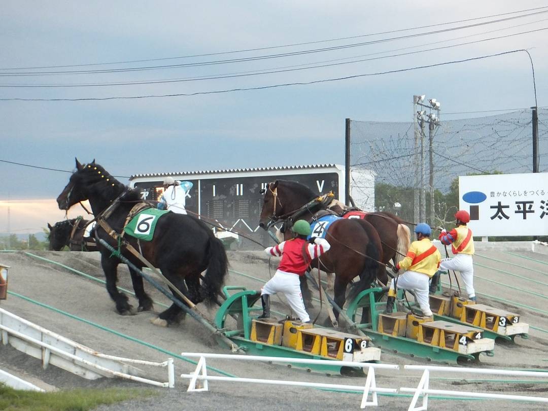 北海道・ばんえい競馬の熱き闘い！筋肉の躍動を目の前で