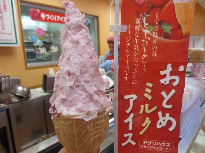 栃木でイチゴ三昧！イチゴスイーツが味わえるおすすめ道の駅