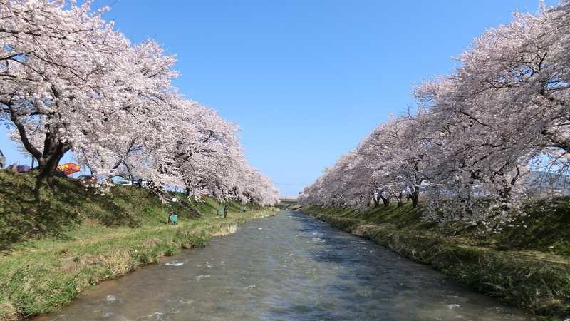 富山で絶景の春！お祭りイベント＆郷土料理をチェックしよう
