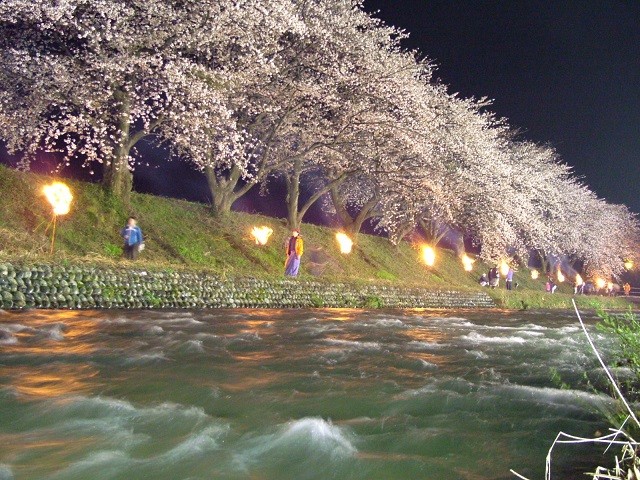 富山で絶景の春！お祭りイベント＆郷土料理をチェックしよう
