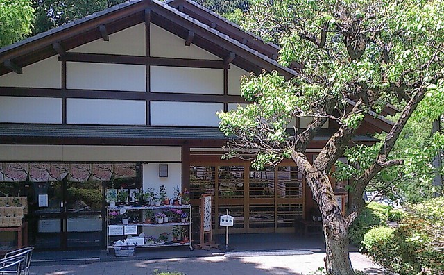 東京・奥多摩御岳のおすすめヘルシーレストラン特集