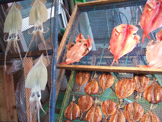 熱海旅行のついでに網代港観光も！絶品干物と名物イカメンチの名店 徹底ガイド