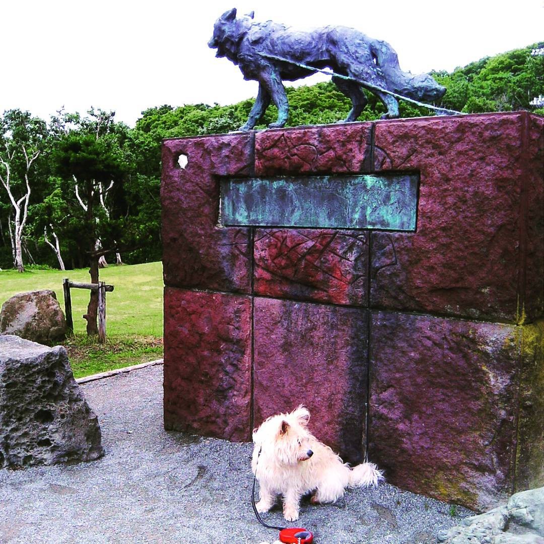 日本最北端の街！北海道・稚内の観光スポット5選