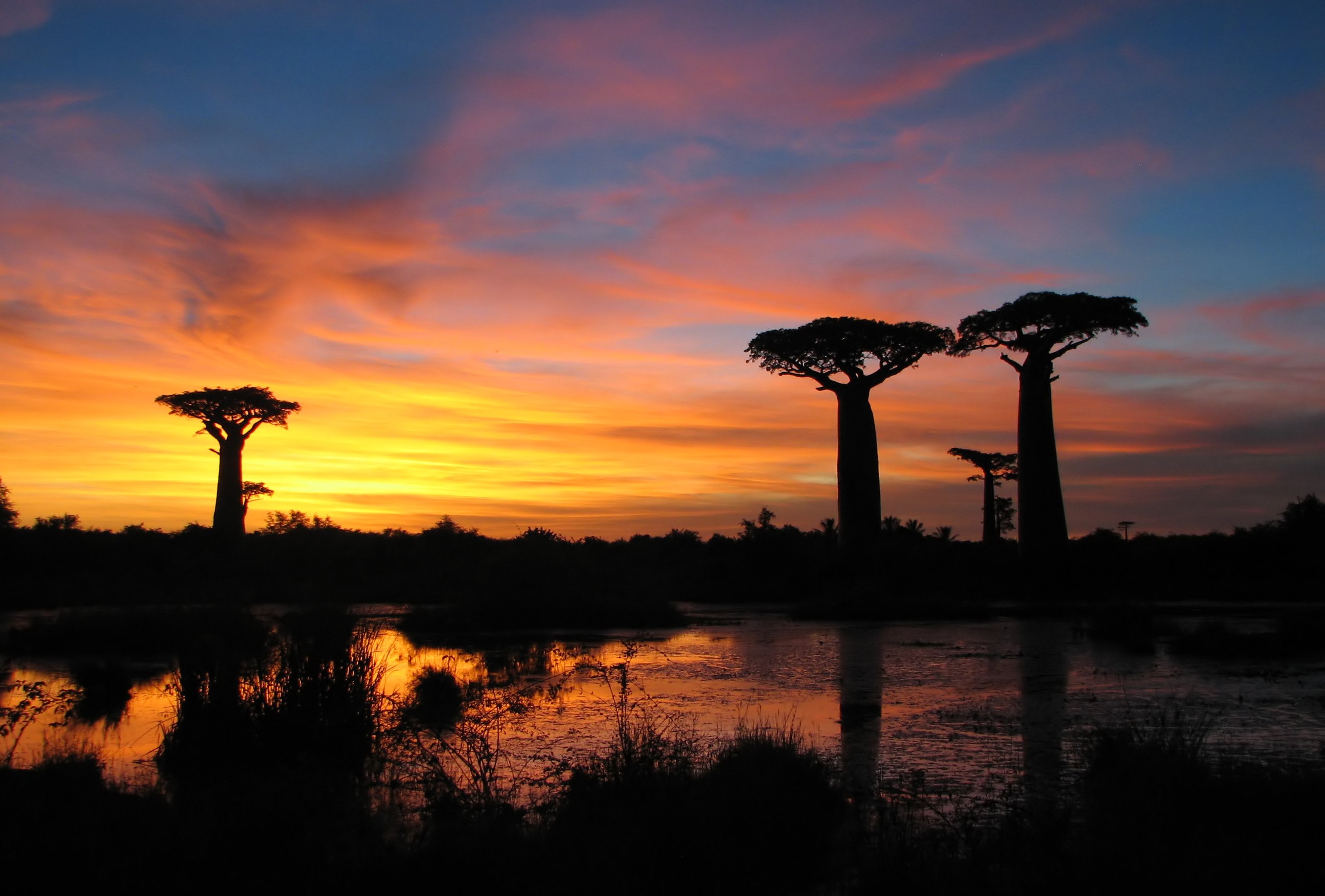 マダガスカルで絶対行くべき観光スポット10選