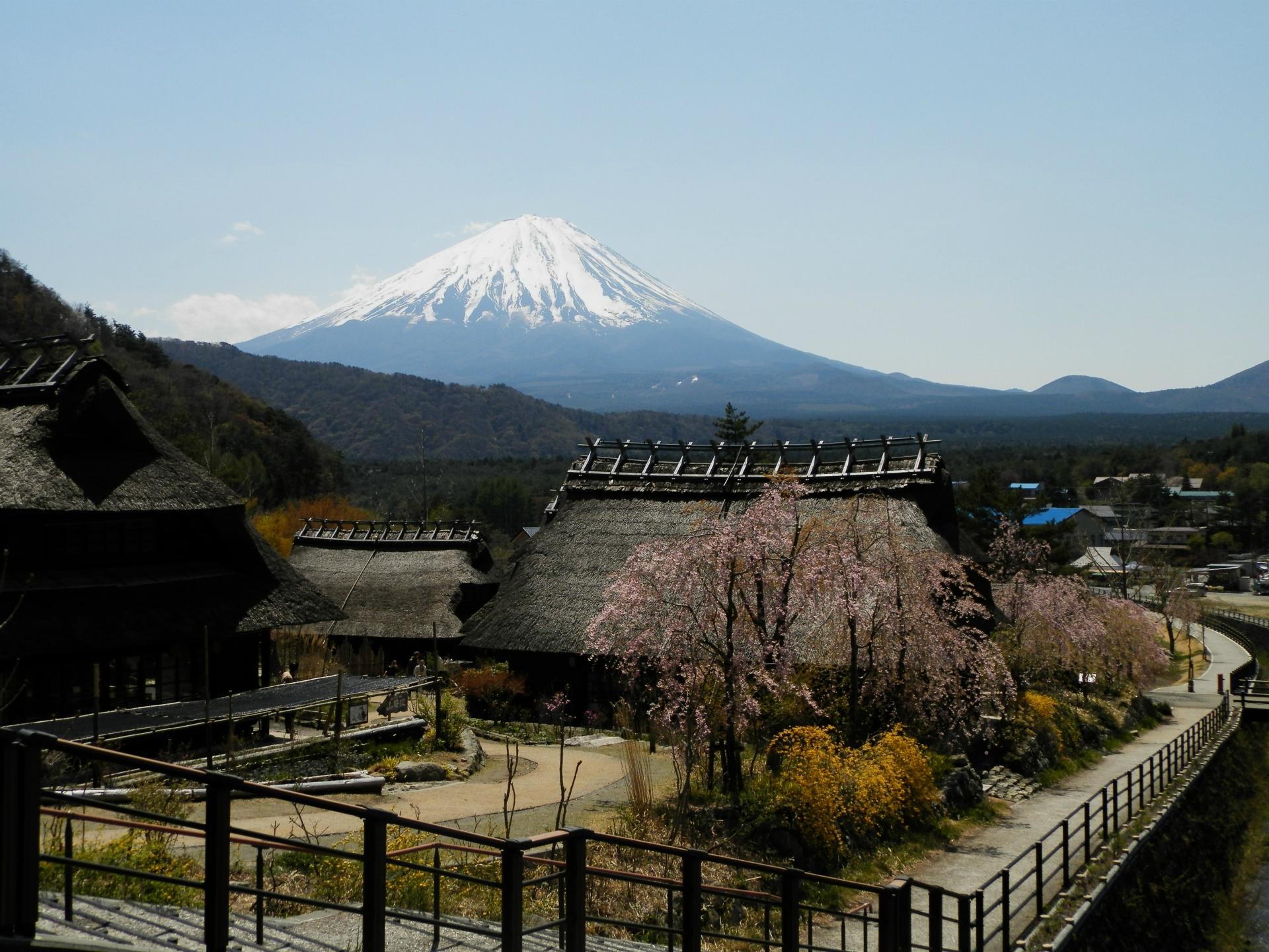 富士山周辺のおすすめ観光スポット15選！日本の世界遺産！