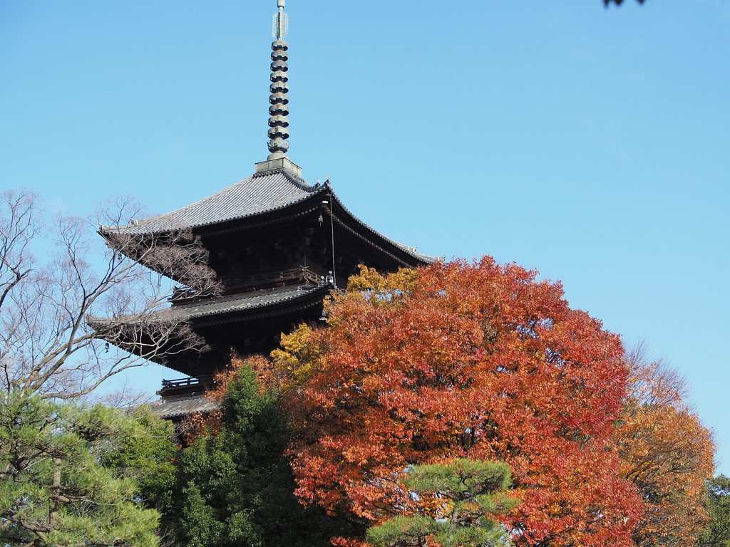 京都のシンボル・東寺の五重塔を観光前に徹底解剖！