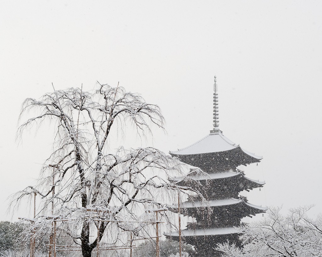 京都のシンボル・東寺の五重塔を観光前に徹底解剖！