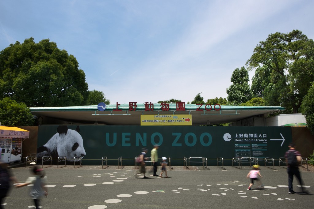 上野動物園デートに役立つ基本情報をチェック！