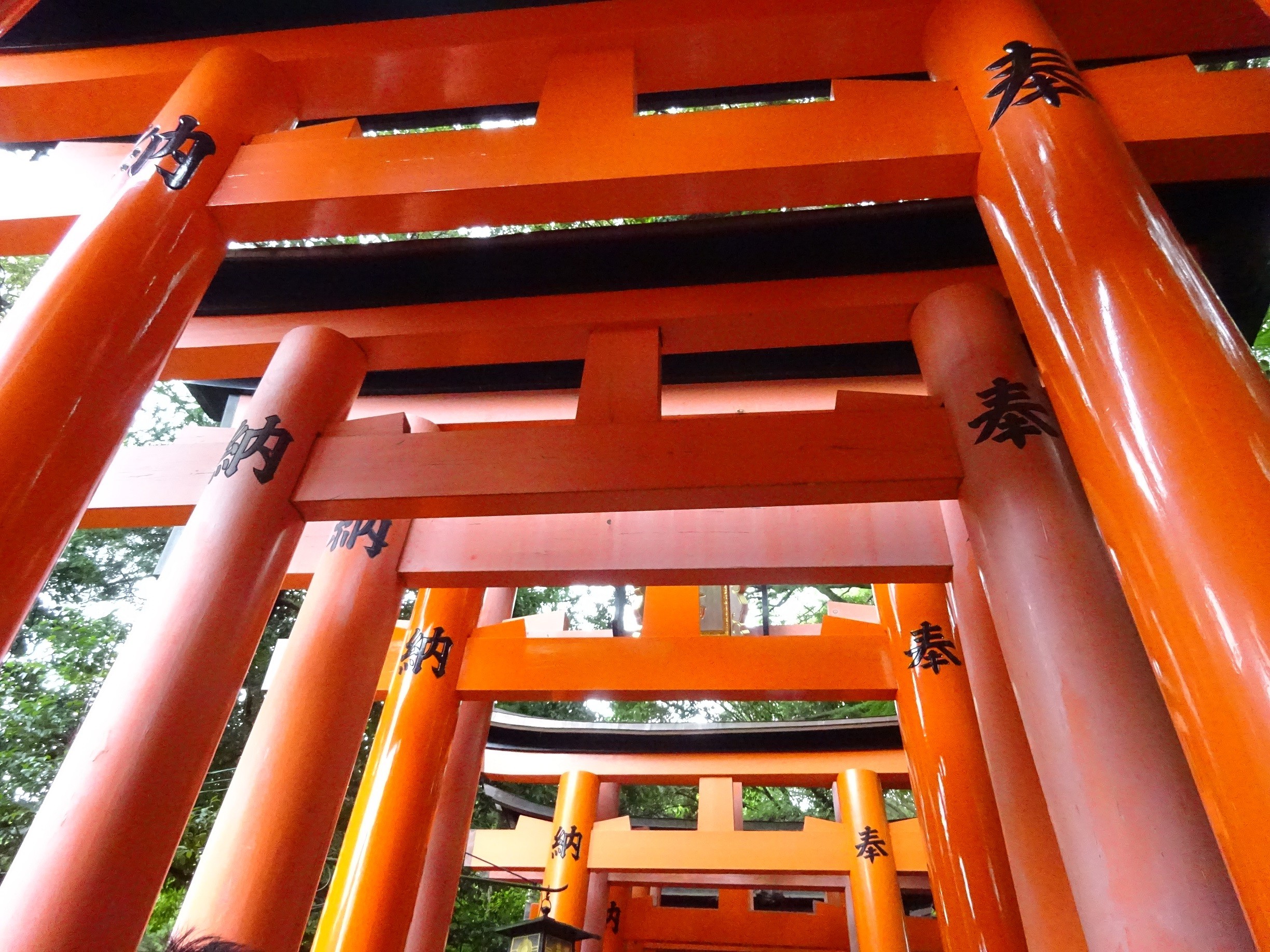 【京都】伏見稲荷大社・千本鳥居で風情を感じる！日本人なら1度は訪れておきたい場所