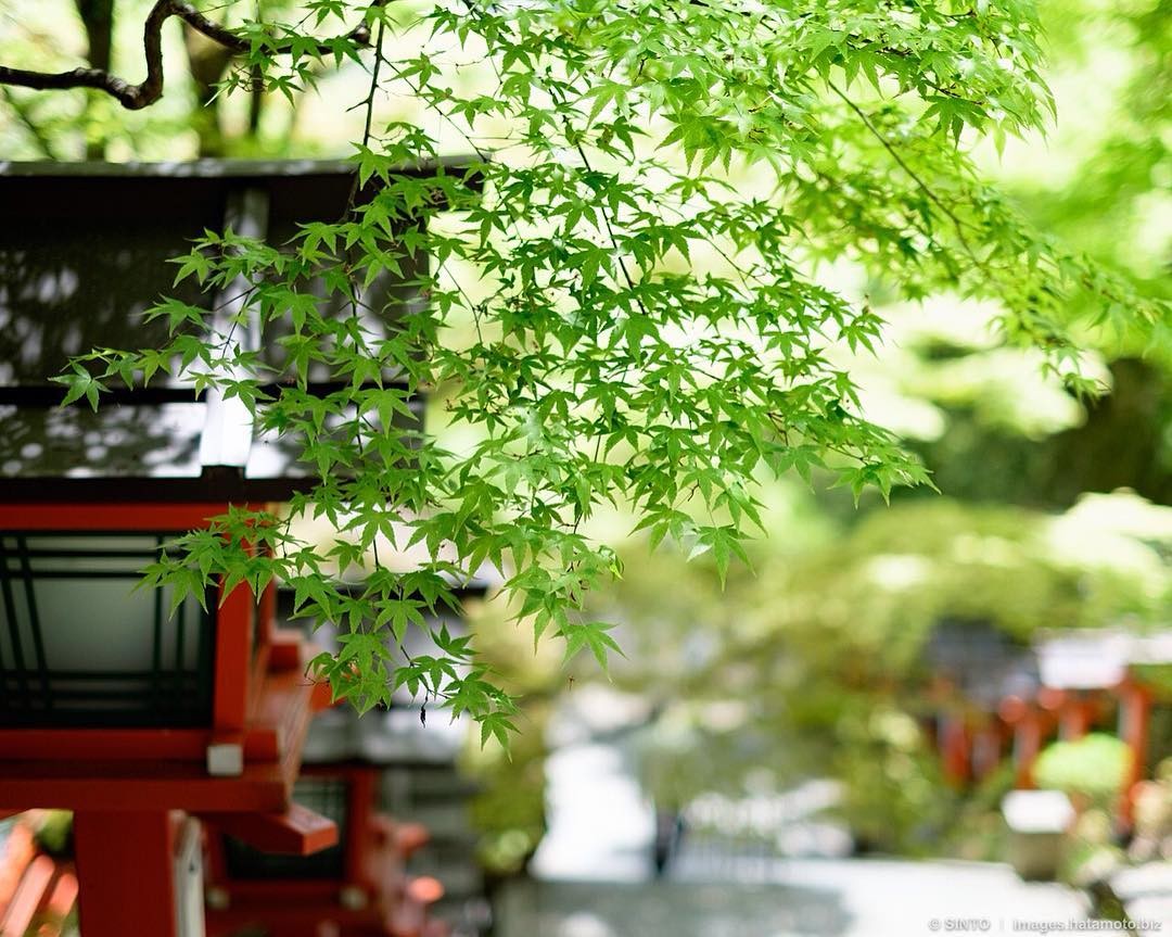 京都最強のパワースポット鞍馬寺！ケーブル開通でアクセスが楽に♪