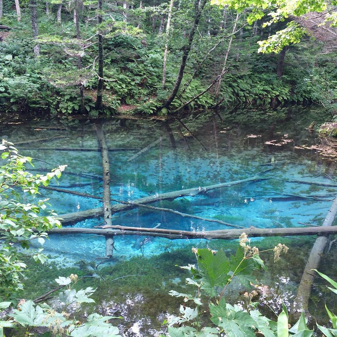 北海道の青い宝石・摩周湖は周辺にもお楽しみがいっぱい！