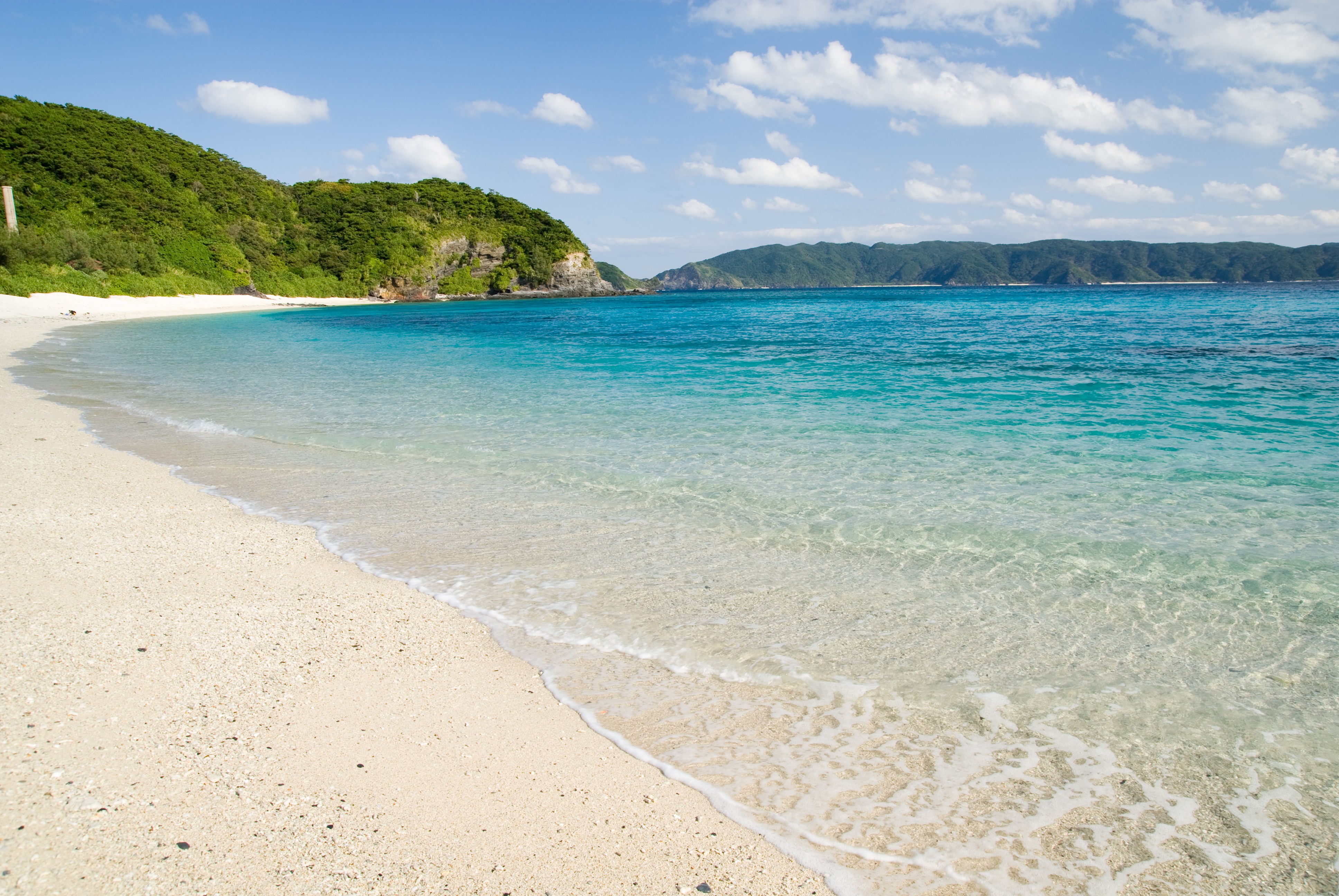 沖縄・慶良間諸島の群を抜いて美しい海でウミガメとダイビング！