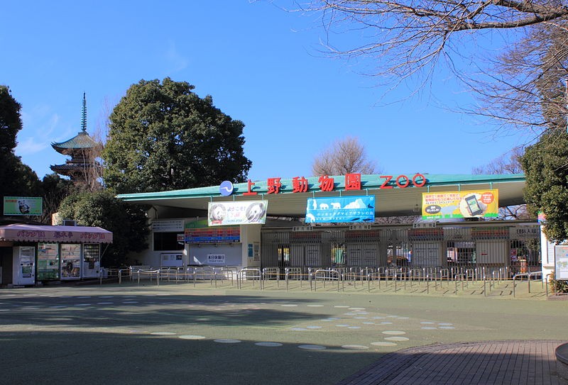 上野動物園の入園料は？割引やクーポンで安くする方法を教えます！