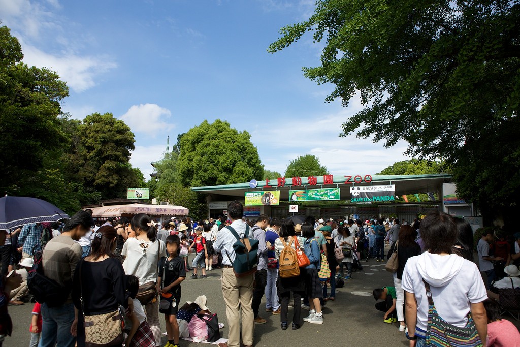 上野動物園の入園料は？割引やクーポンで安くする方法を教えます！
