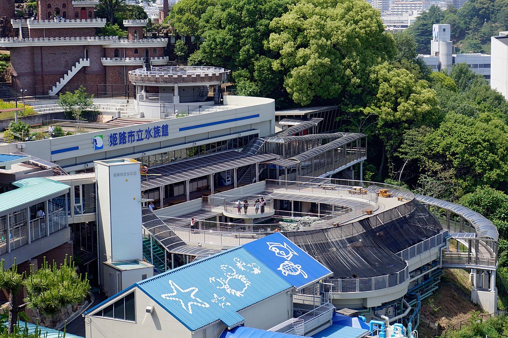 兵庫「姫路市立水族館」は姫路城から車で15分で行ける山の上の極上水族館！
