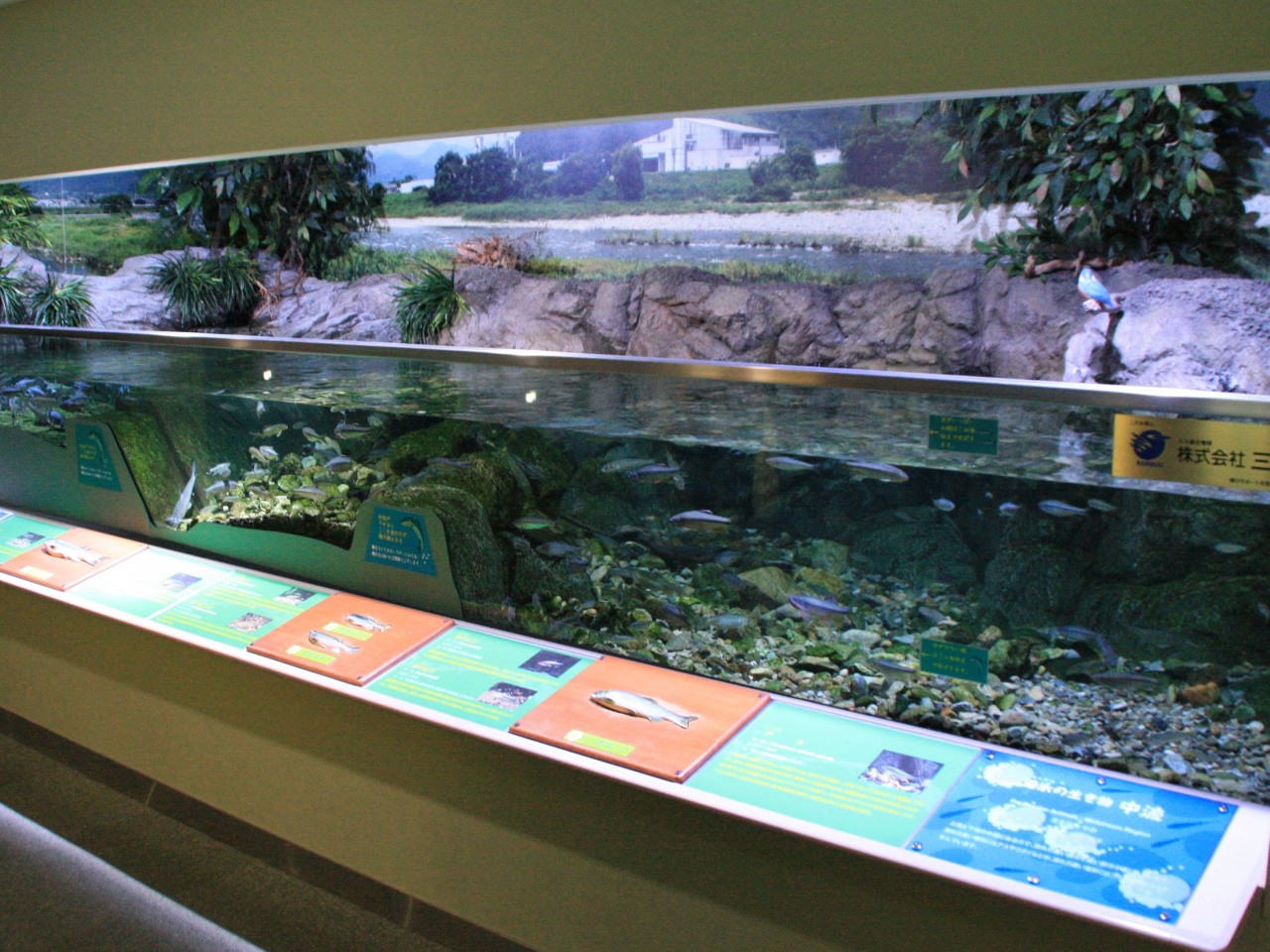 兵庫「姫路市立水族館」は姫路城から車で15分で行ける山の上の極上水族館！