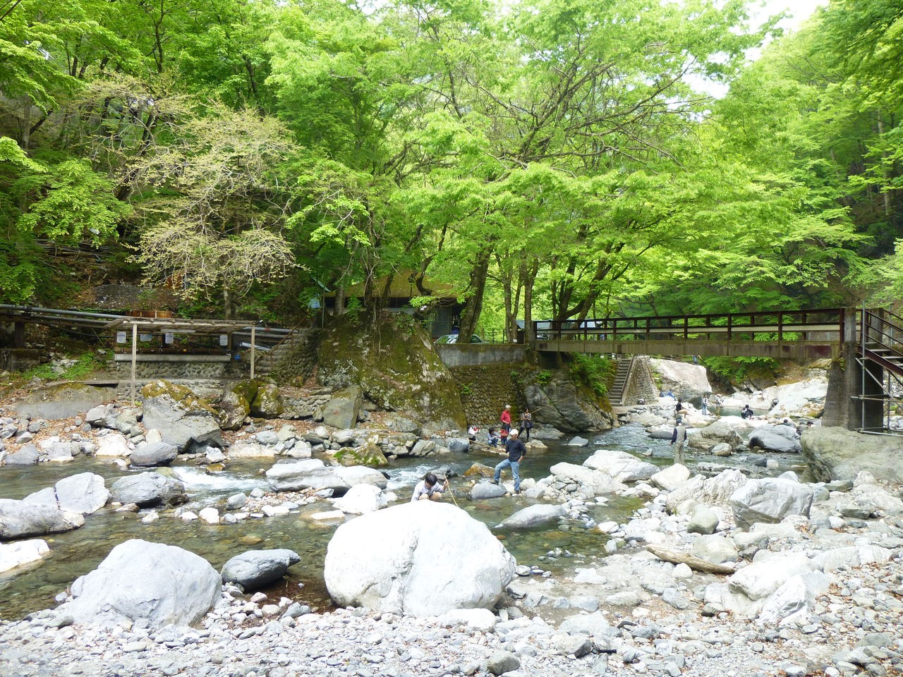 奥多摩・東京の自然の宝庫で大自然を遊びつくす！
