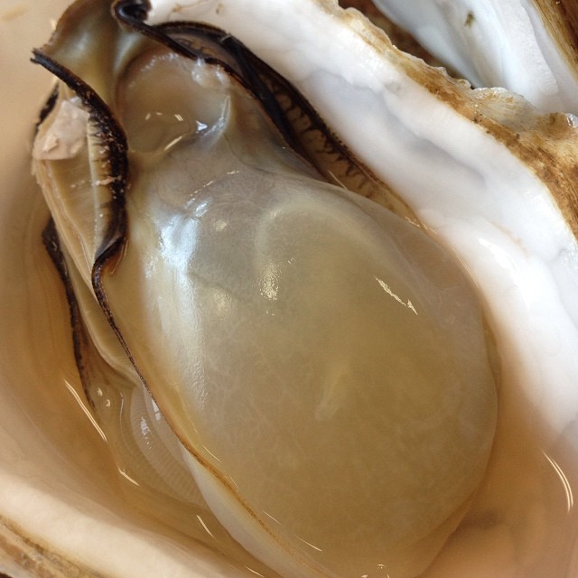 宮城県松島町で松島カキを堪能！牡蠣のおいしい店おすすめ５選