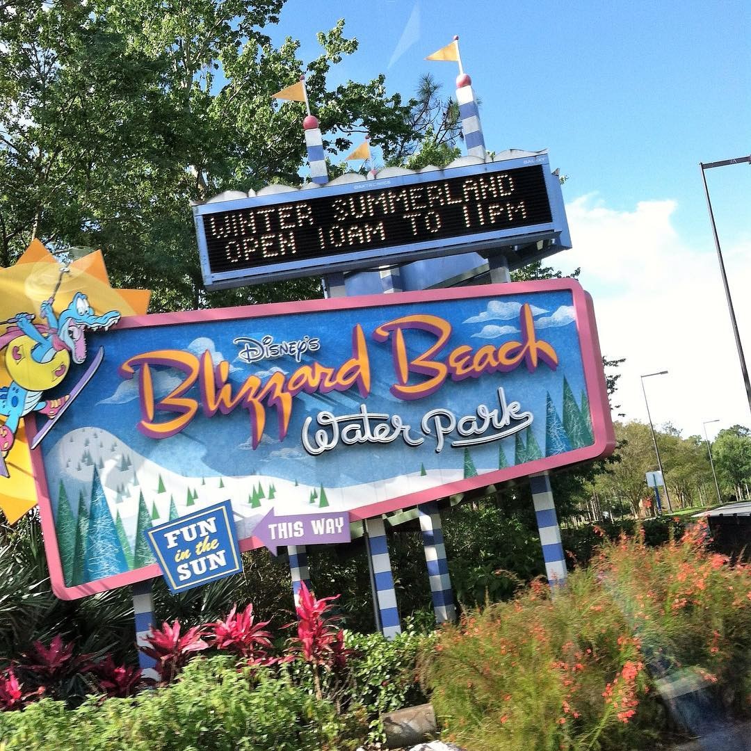 【フロリダ】ディズニーのウォーターパーク！ブリザード・ビーチの人気アトラクションまとめ