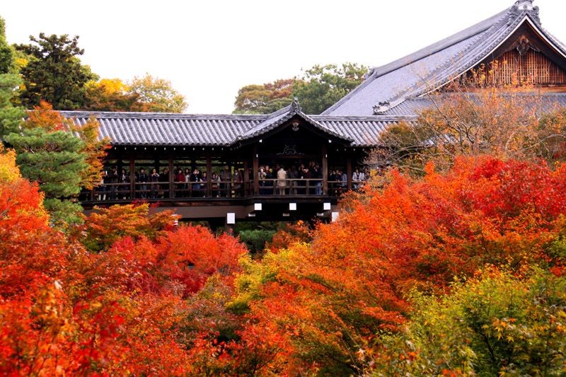 京都髄一の紅葉が有名な東福寺へのアクセス方法まとめ