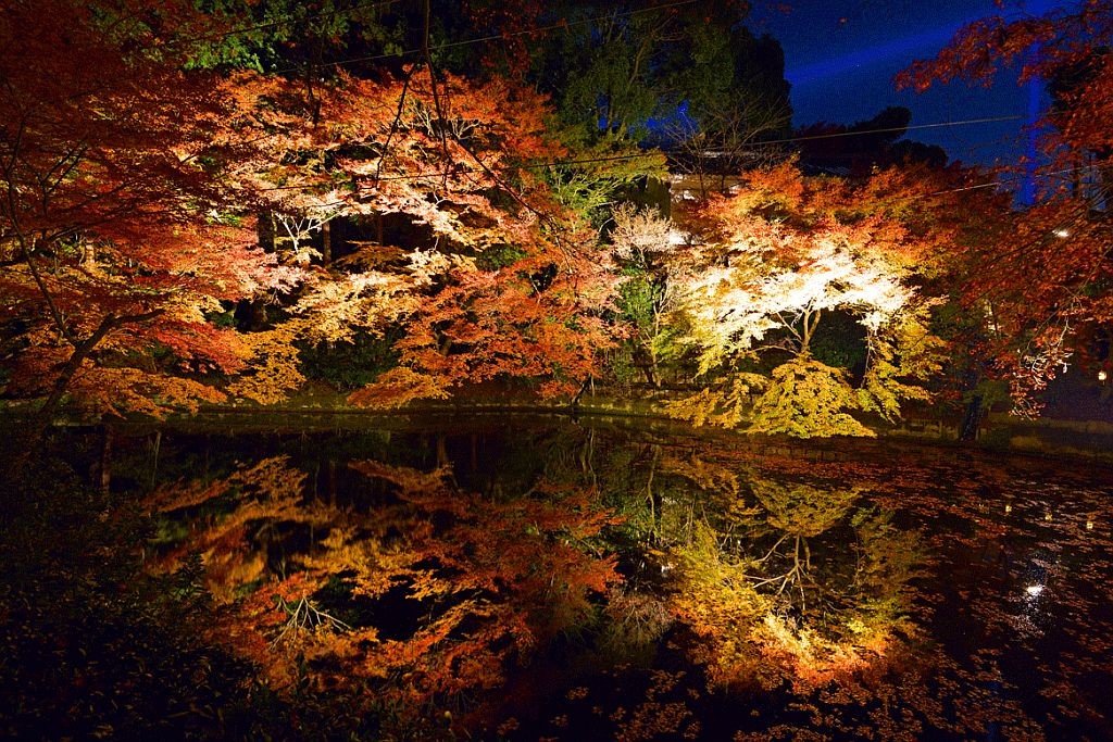 幻想的！京都・清水寺の夜間特別拝観とライトアップ