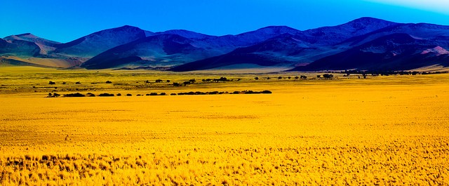 ナミビア・ナミブ砂漠の絶景観光スポット4選！素晴らしき大自然満喫