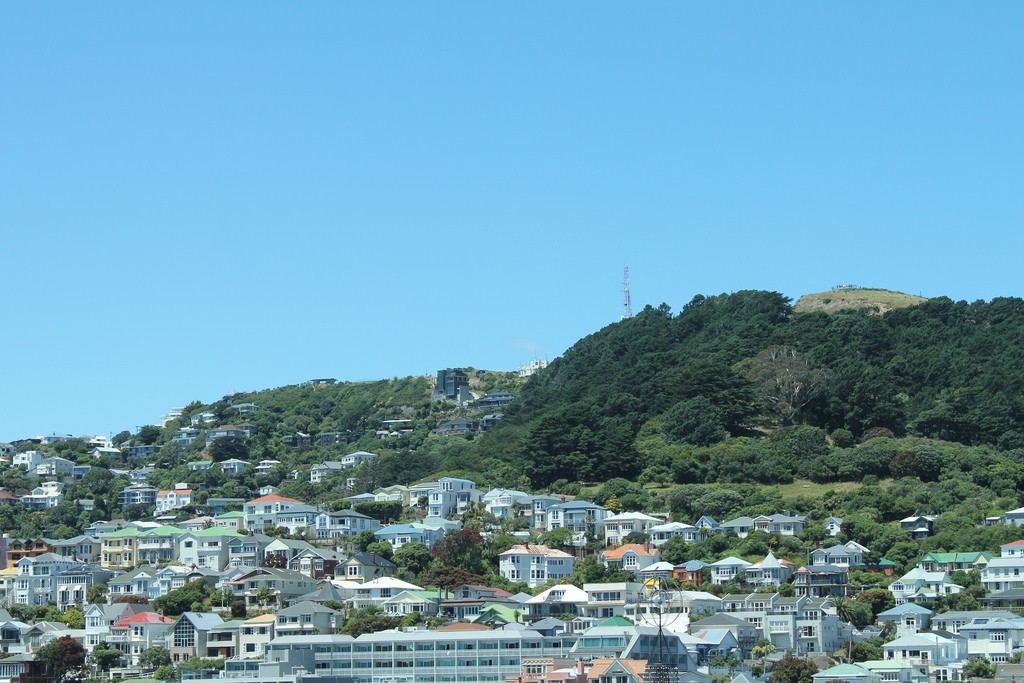ニュージーランド・ウェリントンの必見スポット4選！魅力的な港町満喫プラン