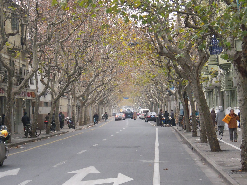 【記事重複・移行済み】中国・上海の人気観光地を巡るプラン！上海満喫おすすめスポット