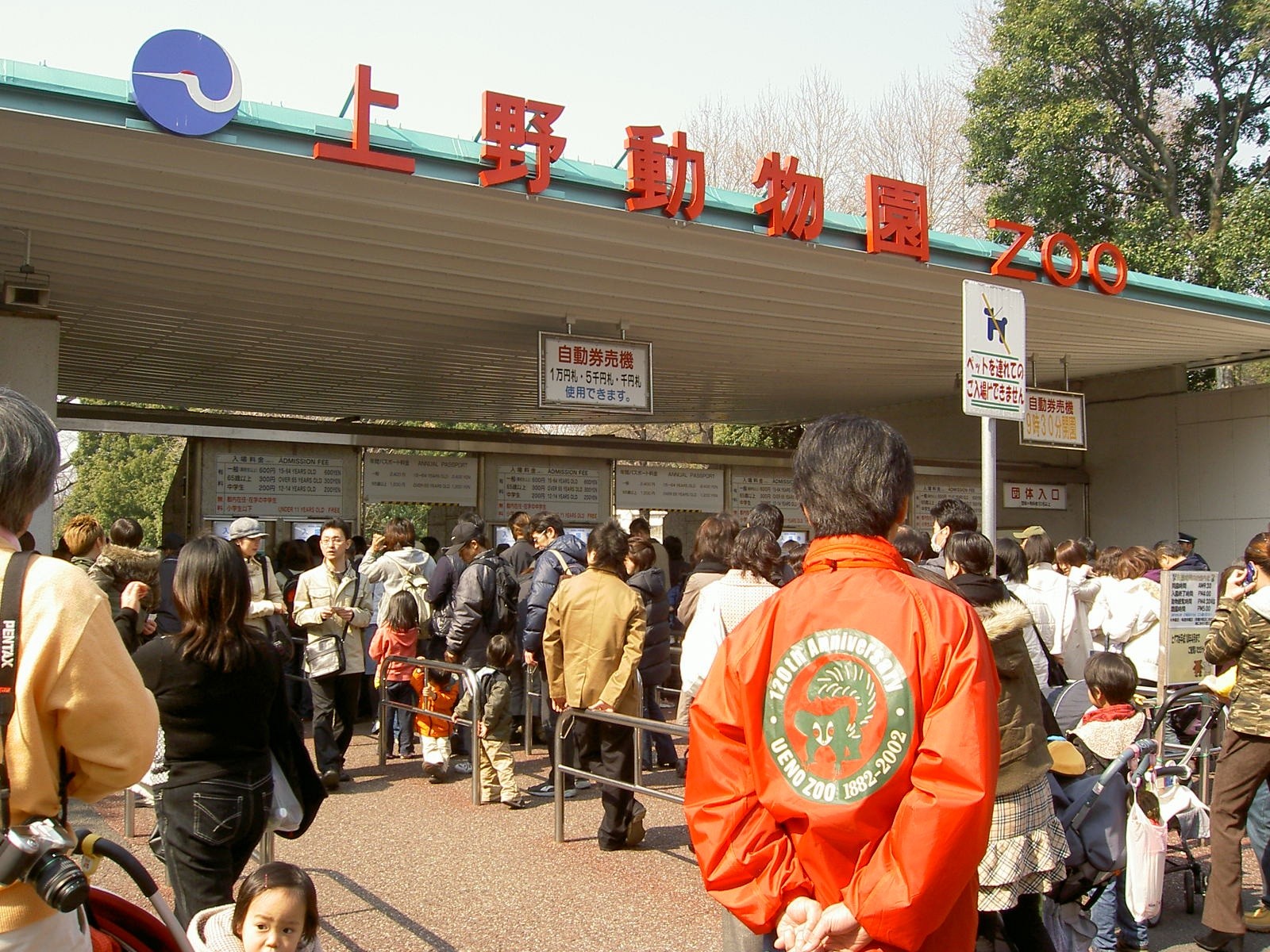 上野動物園の混雑は避けられる？来園時間を工夫してパンダを見よう