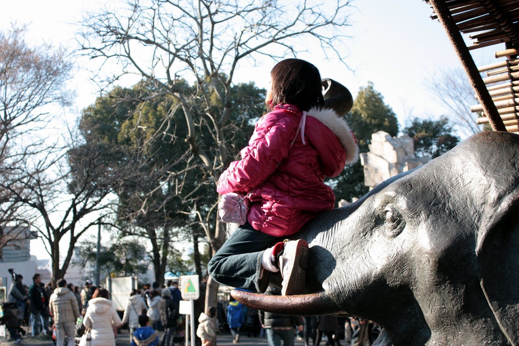 上野動物園の混雑は避けられる？来園時間を工夫してパンダを見よう