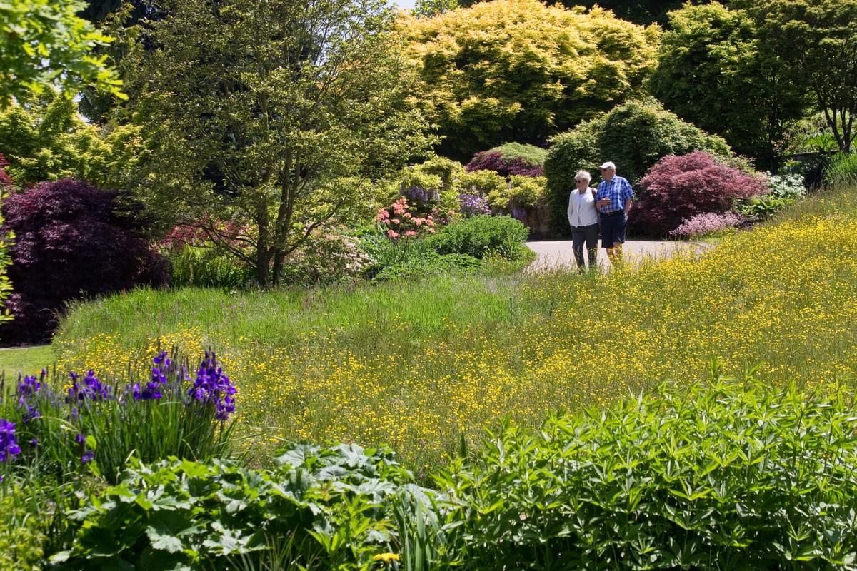 英国王室ゆかりの麗しき庭園！ イギリスでイングリッシュ・ガーデンをめぐろう