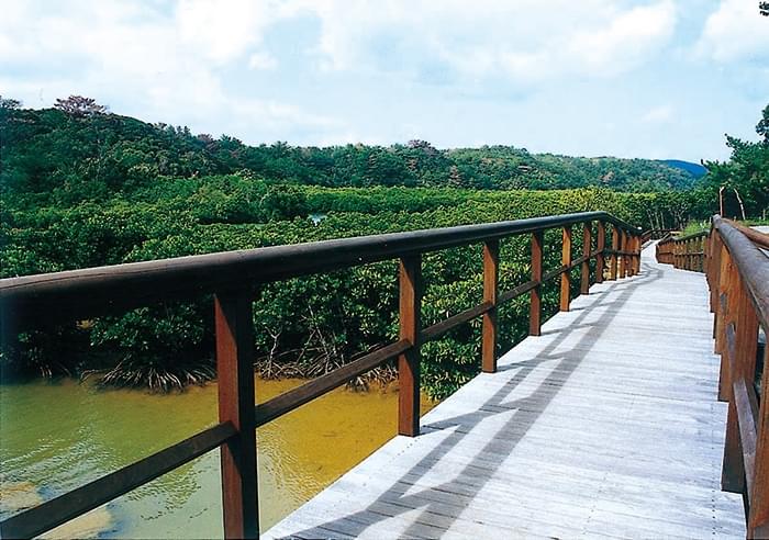 沖縄の大自然をめぐれる！やんばるの地おすすめ観光スポット