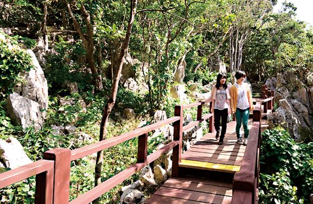 沖縄の大自然をめぐれる！やんばるの地おすすめ観光スポット