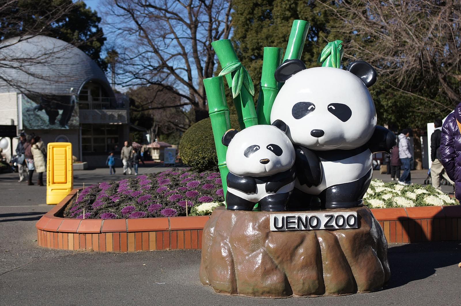 上野動物園でランチを楽しむ方法！大人も子供も♪