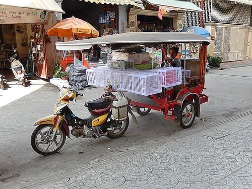 カンボジア・シェムリアップ市内を移動するなら？おすすめの交通方法をご紹介