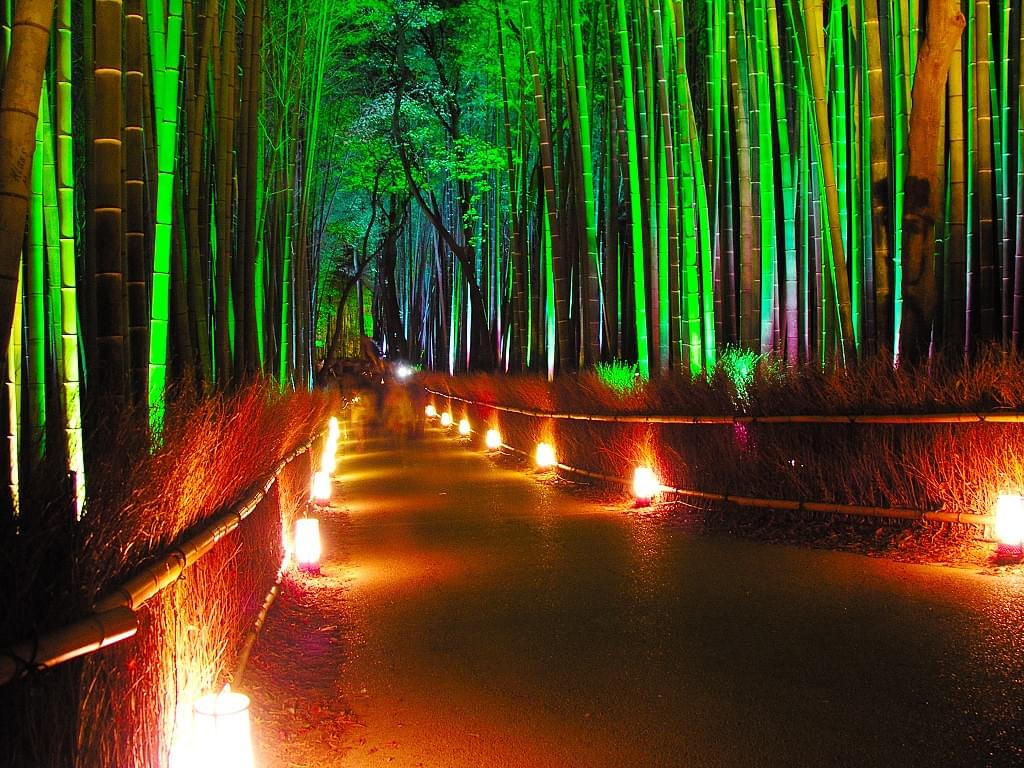 京都・嵐山観光！「竹林の小径」アクセスと見どころ徹底ガイド！