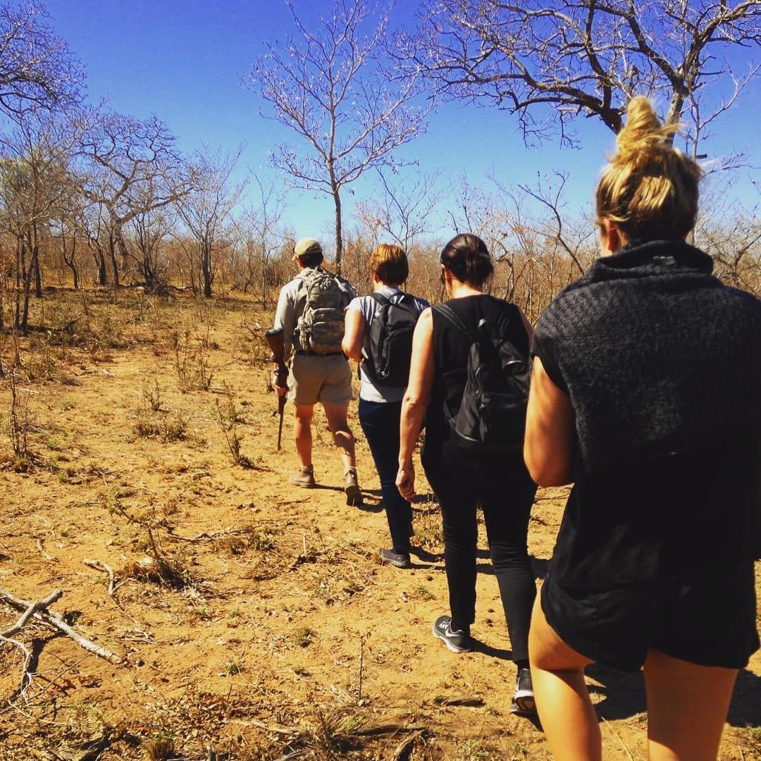 アフリカ旅行で行くべき南アフリカのサファリスポット４選