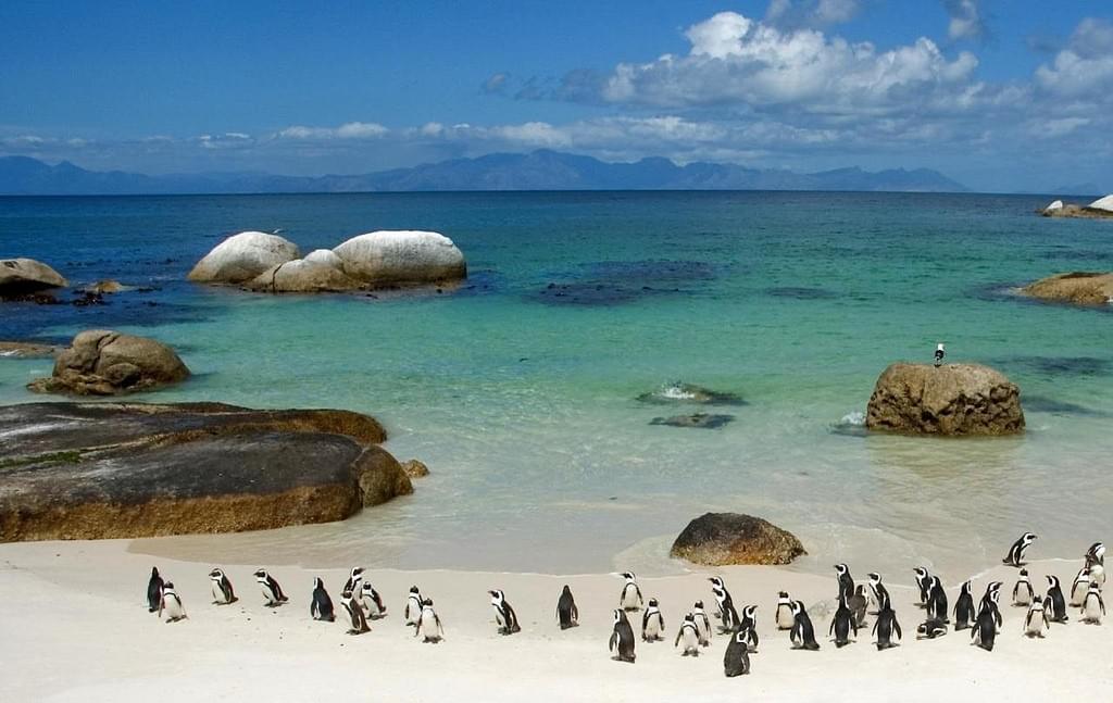 サファリだけじゃない！南アフリカで行くべき観光スポット５選