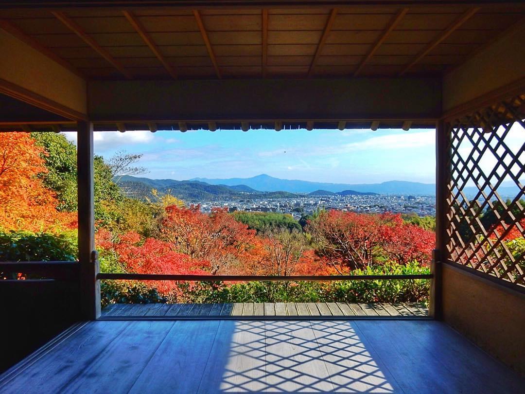 京都・嵐山観光！「竹林の小径」アクセスと見どころ徹底ガイド！