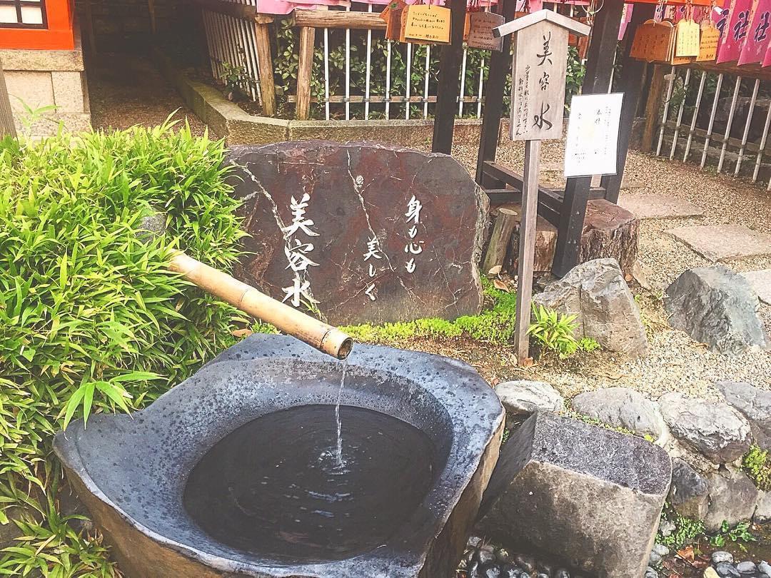 京都旅で行くべき観光スポット！八坂神社の見どころ徹底解説