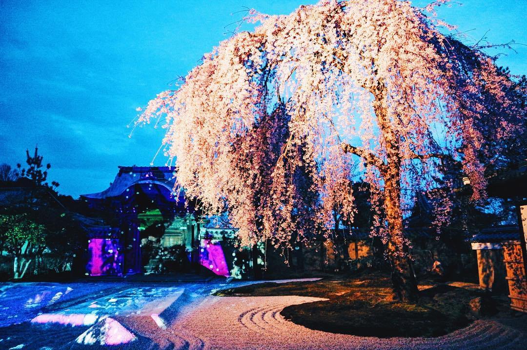 マップ付き！京都駅から高台寺へのアクセス徹底ガイド