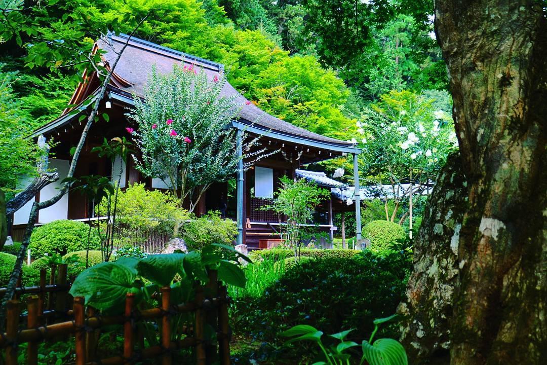 平家物語ゆかりの京都・大原！名庭園を巡る癒しトリップ