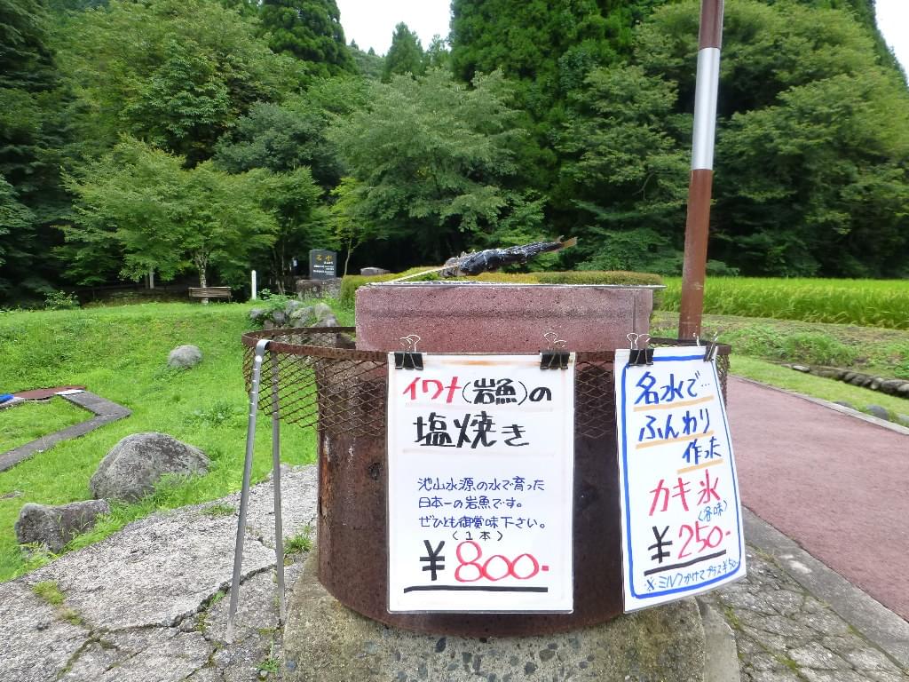 熊本・阿蘇旅行で行くべきパワースポット！神秘的な水源スポット２選