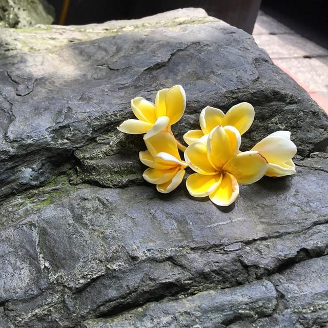 台湾のおすすめエステ＆スパで気軽にセレブ気分を味わう旅をしよう！