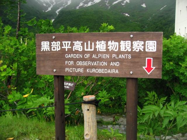 富山県のおすすめ人気観光スポット15選！北陸の海を望む自然豊かな富山を探索しよう！